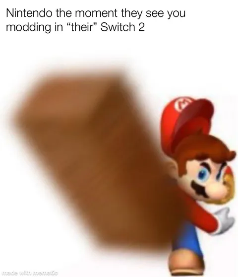 Bricked by Nintendo