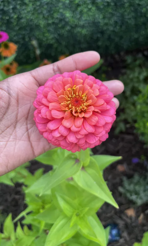 She’s just so pretty