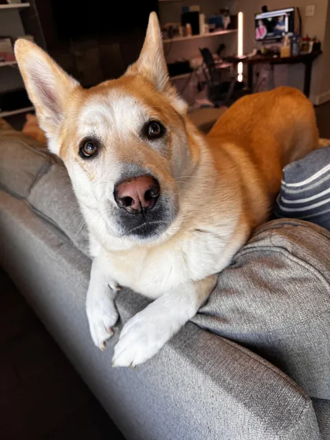 What do you mean we ran out of cookies?