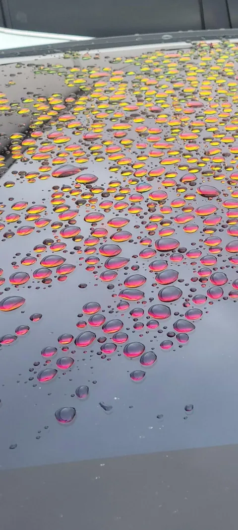 These water droplets look neat!