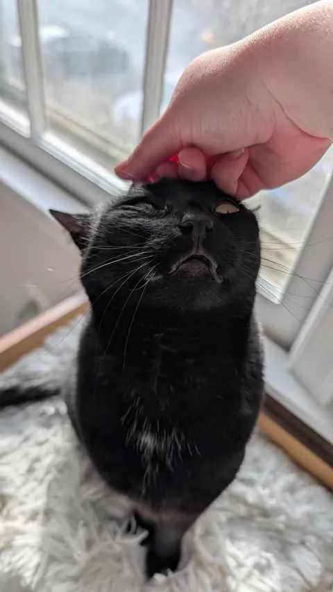 The best way to start my morning and my week 🖤