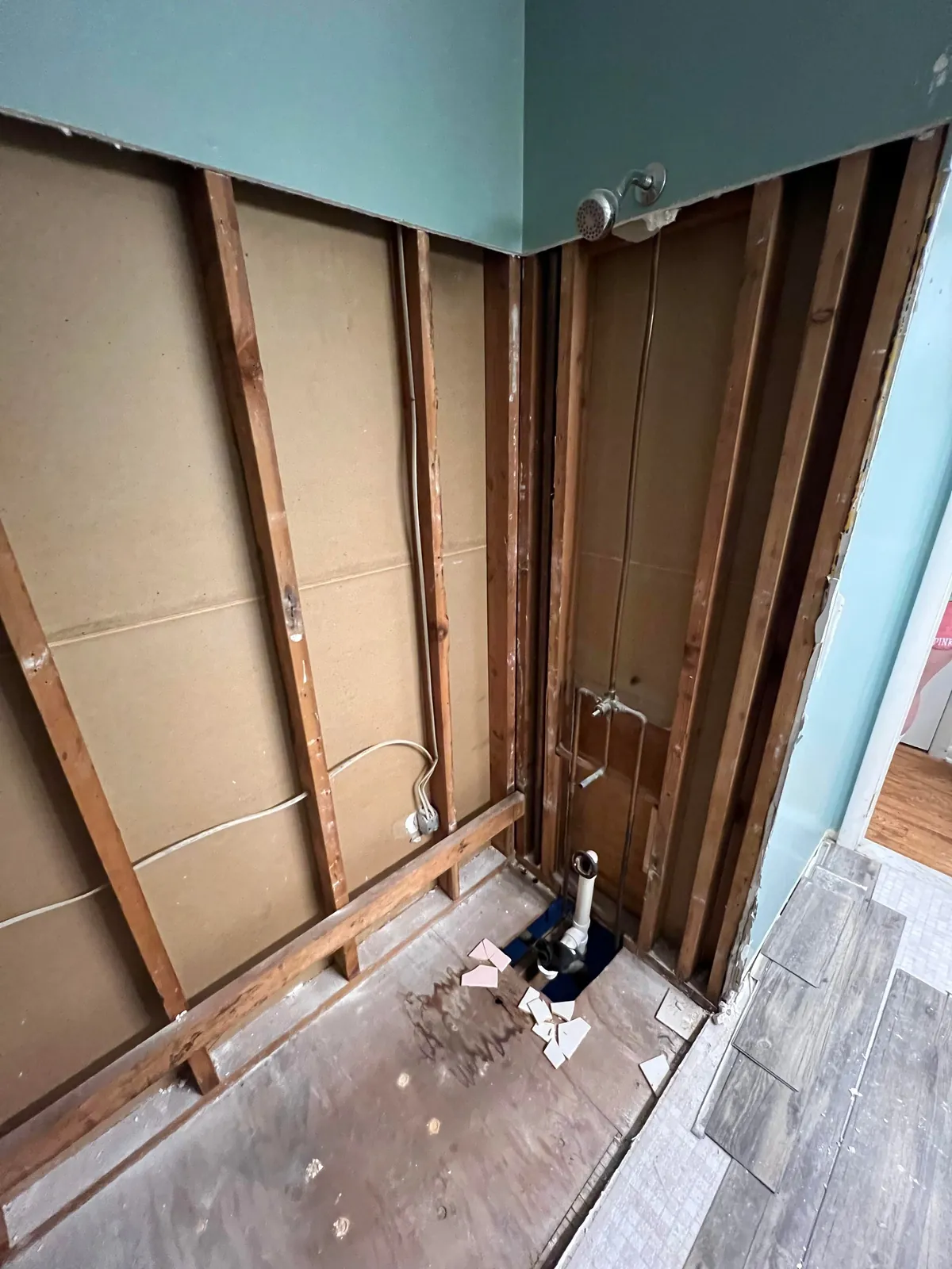 Remodeling the Only Bathroom in the House