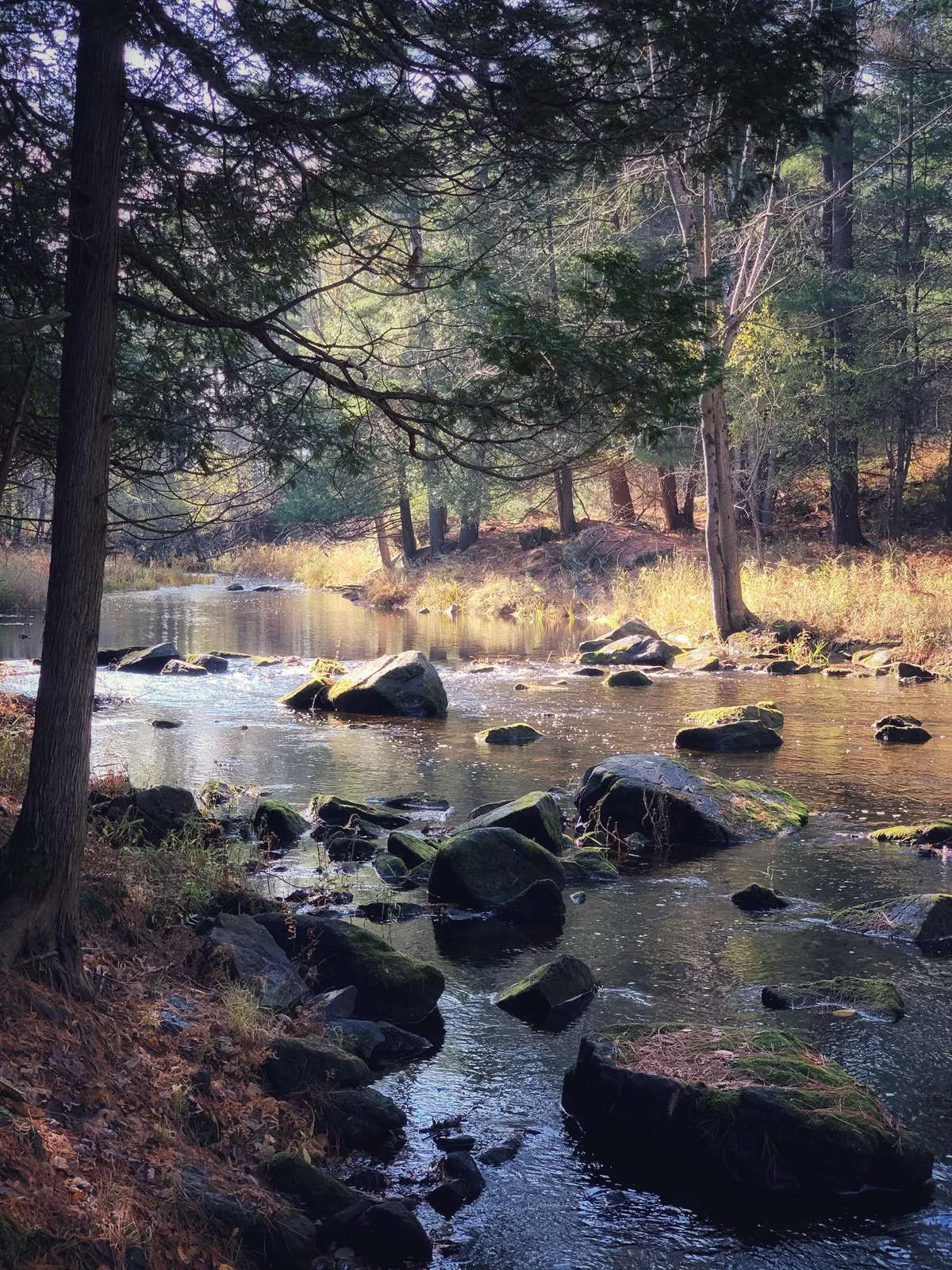 Black Creek, Ontario Canada [3024x4032] (OC)