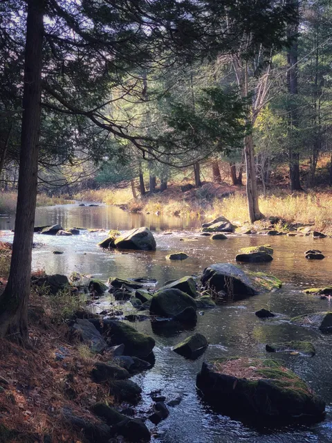 Black Creek, Ontario Canada [3024x4032] (OC)
