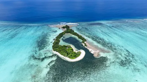 I returned to New Guinea, to a very remote atoll for a month long trip, living off the ocean.