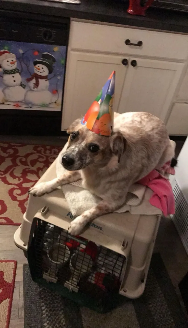 More pictures of Chief being unapologetically himself