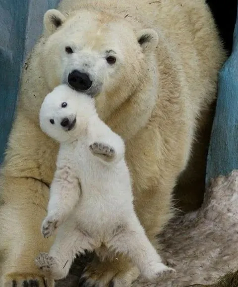 Nothing in nature is stronger than a mother