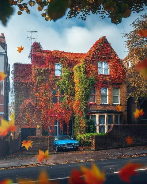 This Ivy Covered House In North London
