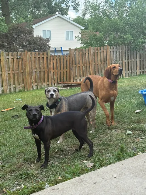 One last Waffles update here!🩷