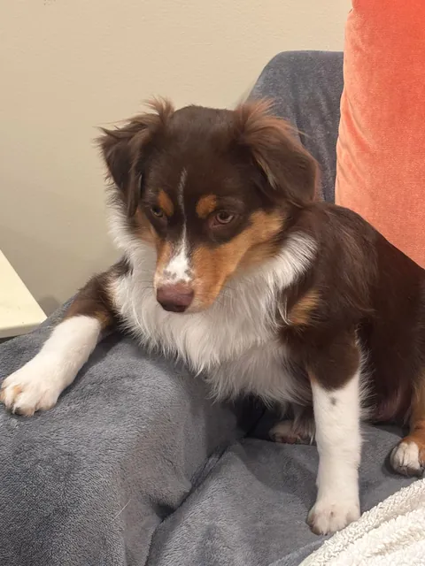 say she’s a good girl 🫵🏻