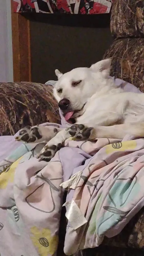 Out like a light 😂