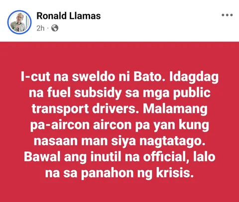 Ronald Llamas wants Sen Bato's salary reallocated to fuel subsidy for PUV Drivers