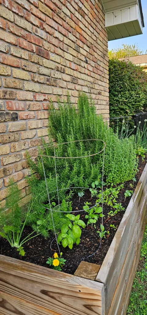 My Wife's Raised Bed Garden Over the Years
