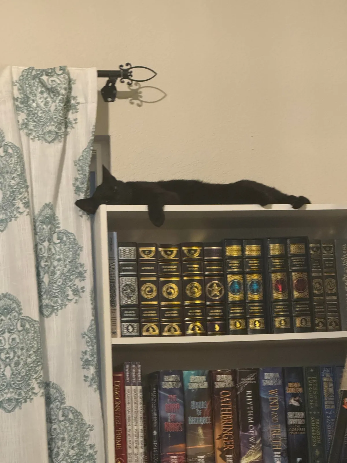 Severian is new here and wants everyone to know that he can, in fact, cat with the best of them