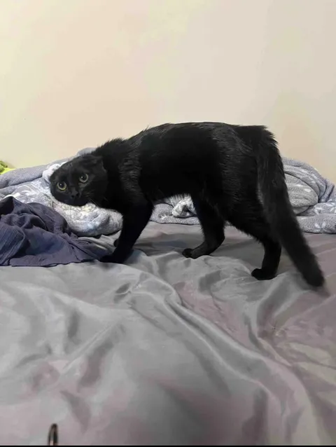 Jimmy freaking out simply because of my existence. It hurts me.