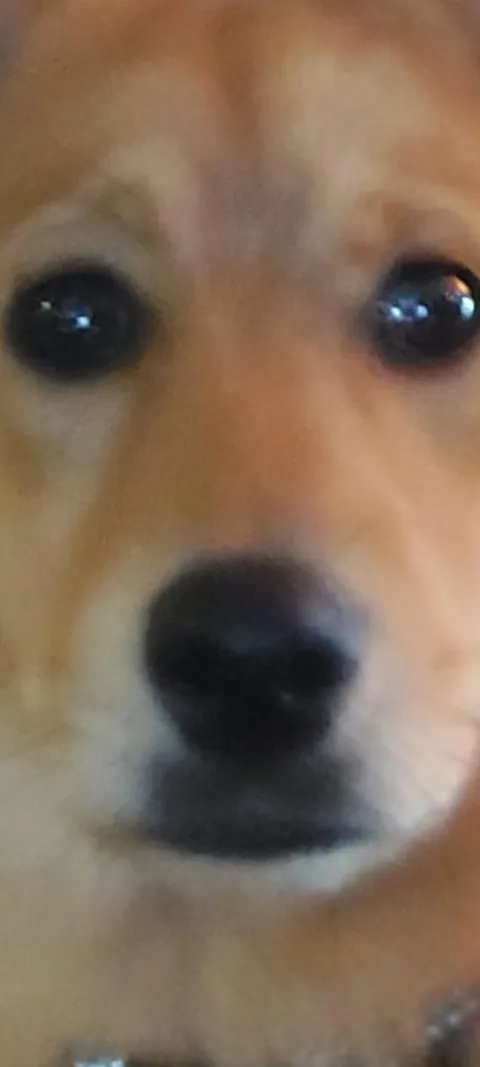 My bestest buddy Felix