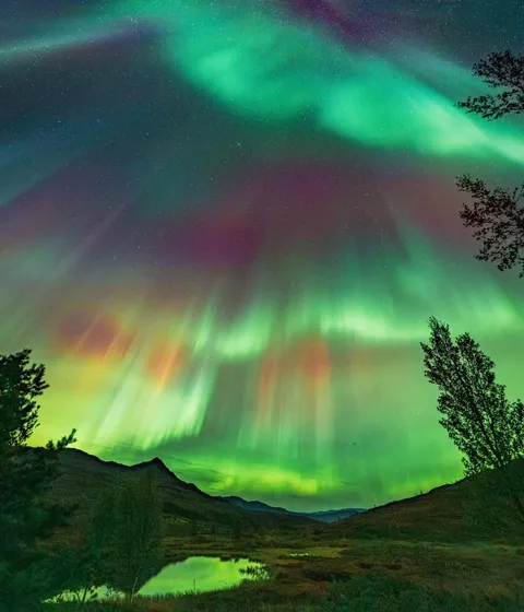 🔥 On the last night in my summer cabin, the night sky was filled with the northern lights, almost like they were waving good bye to me