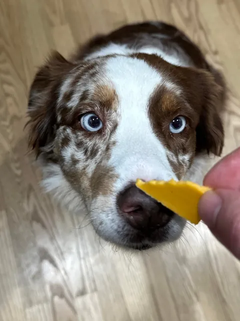[homemade] prime rib, salami and cheddar