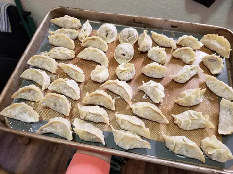 Tempeh and vegetable gyoza!