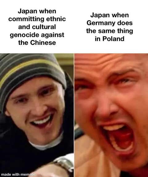 Japan was strongly against Hitler’s racist campaign against the Polish and secretly aided their resistance efforts. Ironic considering Japan was doing the same thing in China