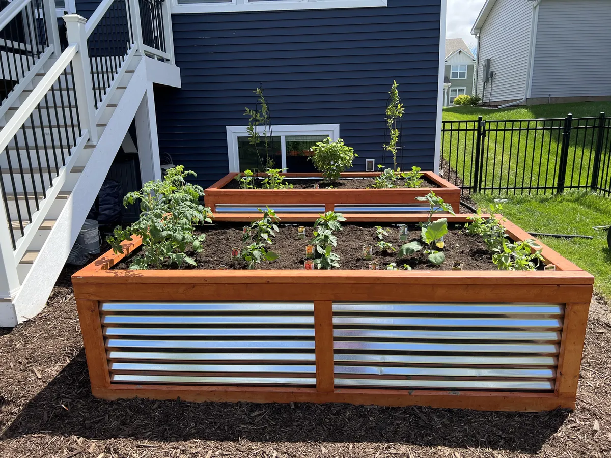 So this is how it begins… I ripped up some sod and planted my first gardens!