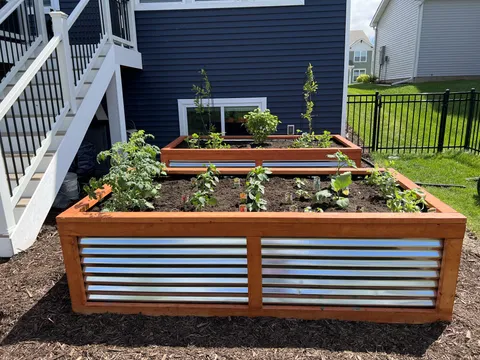 So this is how it begins… I ripped up some sod and planted my first gardens!