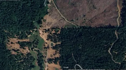 Modern Deforestation in the Pacific Northwest showing no Mercy to the state forests