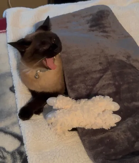 I JUST bought that heating pad…