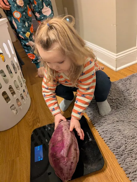 Just wanted to show off this massive 5 lb purple sweet potato I pulled up today.