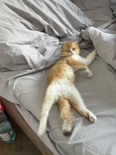 Good morning! ☀️