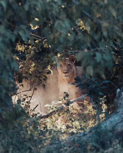 Very proud of this photograph. Looking for feedback!