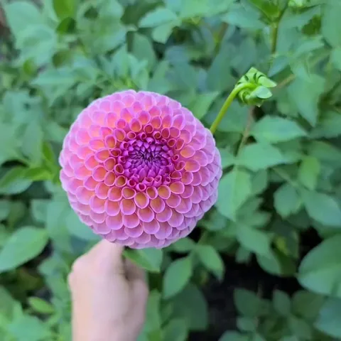 No filter needed for that natural glow!