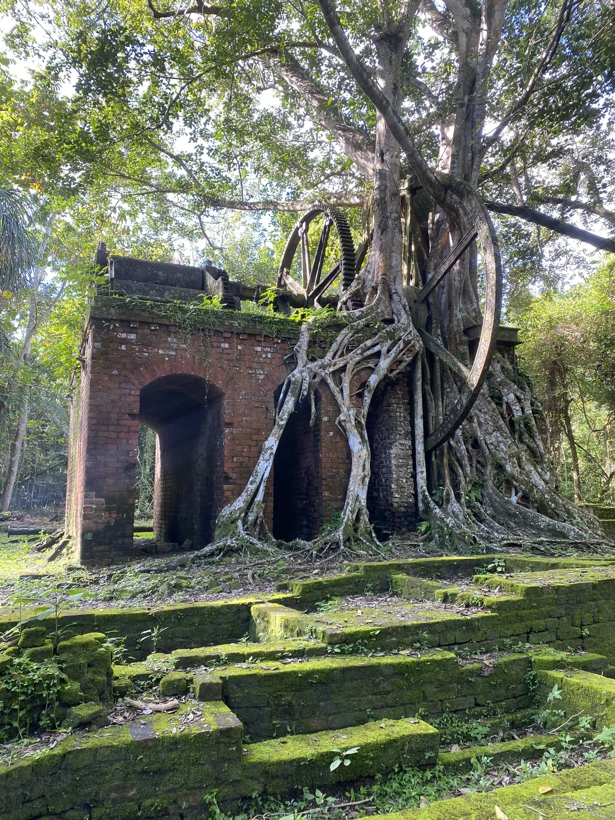 Abandoned sugar cane mill in the heart of the Belizian jungle.