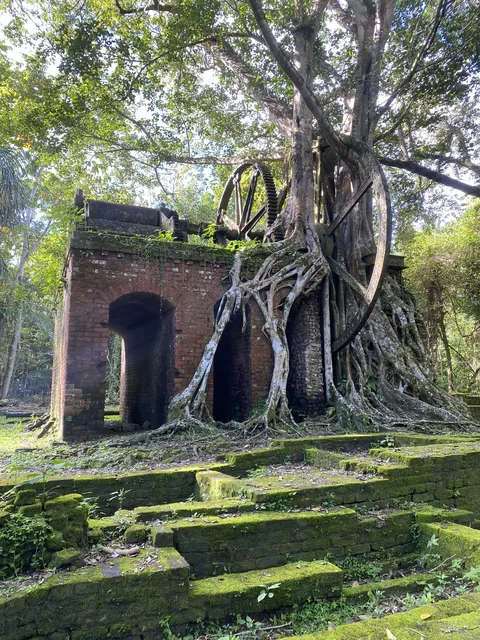 Abandoned sugar cane mill in the heart of the Belizian jungle.