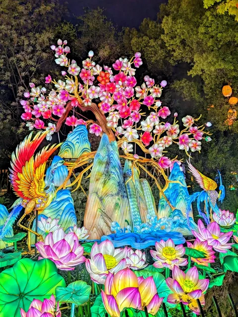 I randomly found Nanjing’s Qinhuai Lantern Festival, and it was breathtakingly beautiful