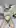 Getting all dressed up