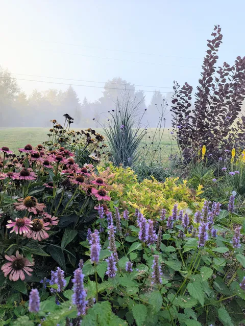 Foggy september morn