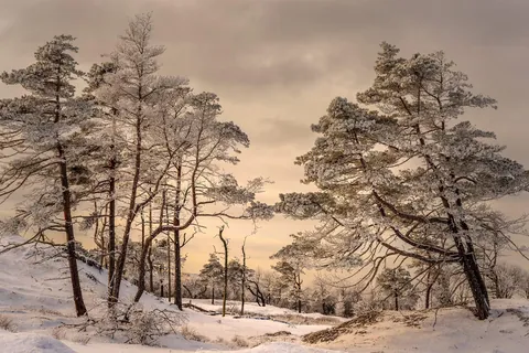 Winter in Sweden