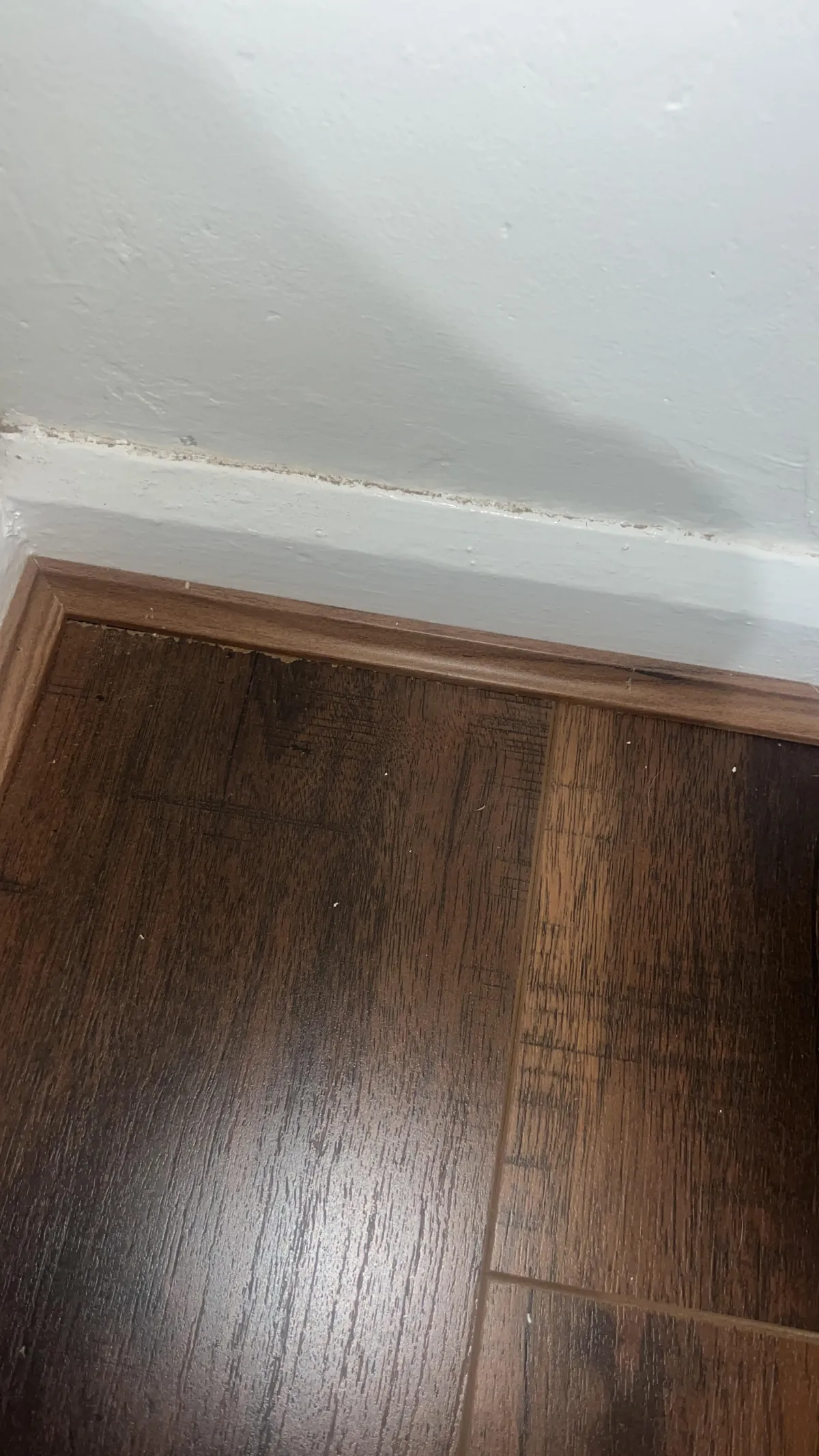 Thoughts on my new flooring? Am I being pedantic or is it an eye sore