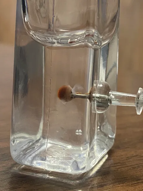 A few months ago I stabbed a bottle of hand sanitizer with a tack. Something is now growing on the tack.