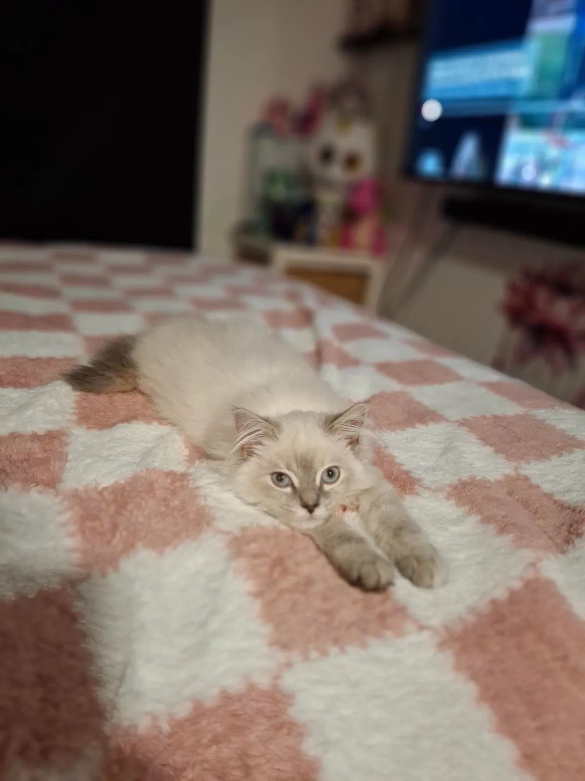 What color is diamond ?