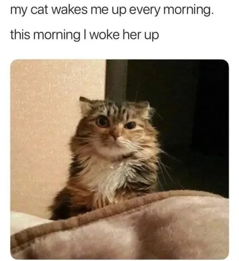 I'd be pretty scared for my life at this point