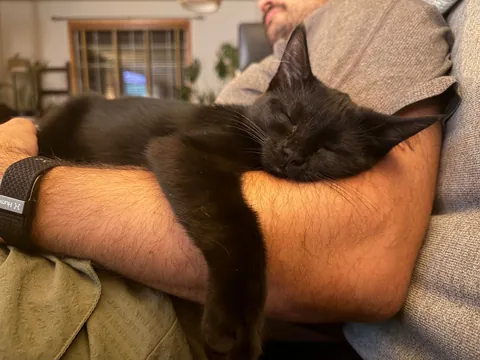 My precious little void