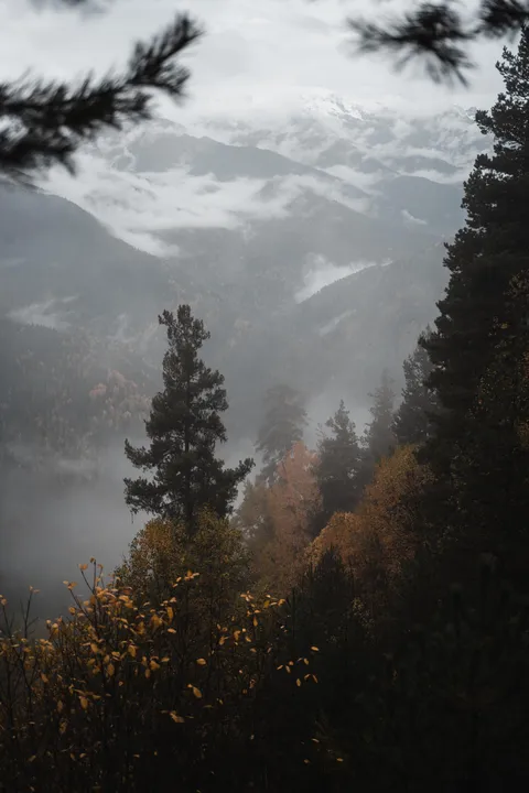 A rest stop in the forest above the clouds. Svaneti Mountains, Georgia [OC] [2000x3000]