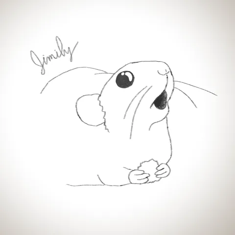 The many faces of Jimily (not my rat, I'm just fangirling because who can resist those boba eyes)