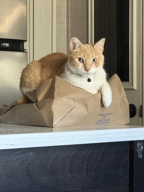 She thinks everything in my home is hers lol