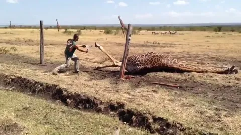 Run free my friend!!!