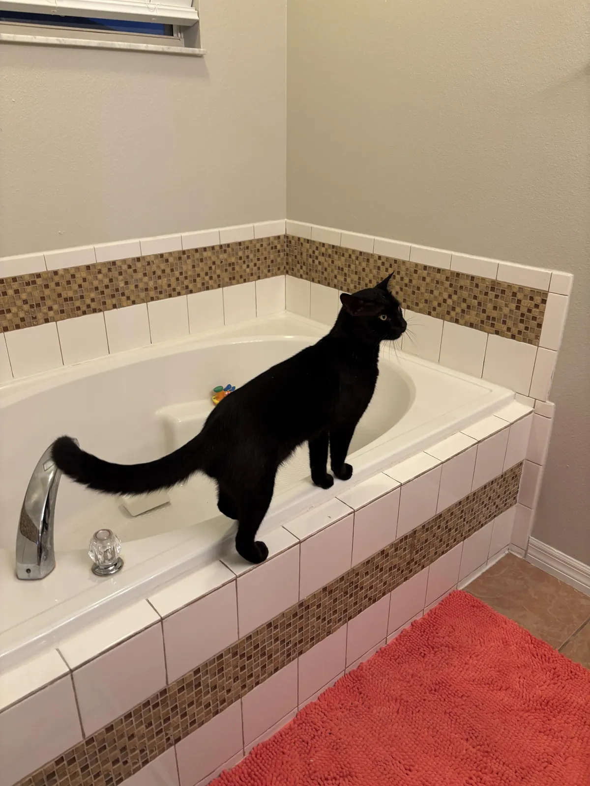 I genuinely don’t know what to do