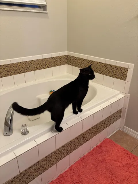 I genuinely don’t know what to do