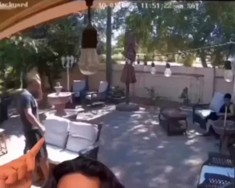 She was about to dig his grave 🤣